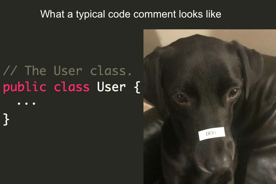 dog with dog label